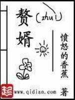 赘婿小说封面 - 愤怒的香蕉